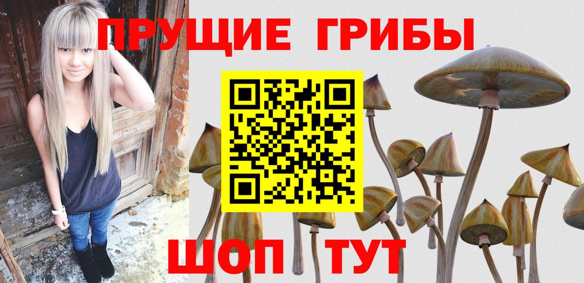 Альметьевск  Галлюциногенные грибы MAGIC MUSHROOMS  Вход с VPN  Псилоцибиновые грибы Cubensis 